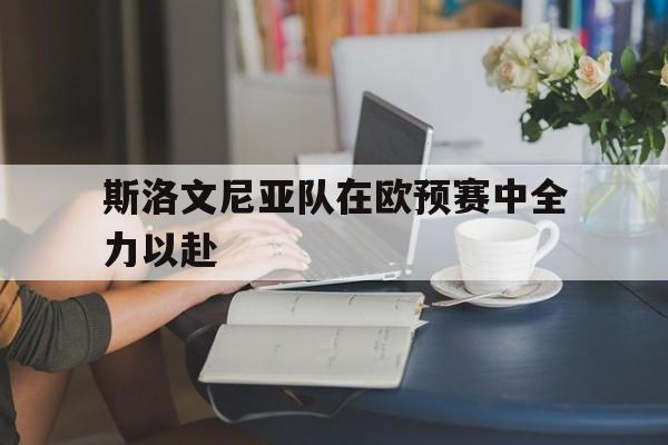 斯洛文尼亚队在欧预赛中全力以赴